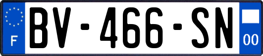 BV-466-SN