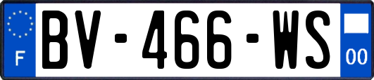 BV-466-WS