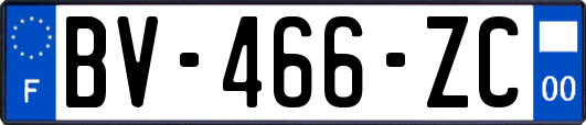 BV-466-ZC