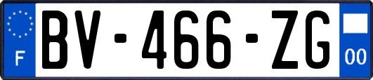 BV-466-ZG