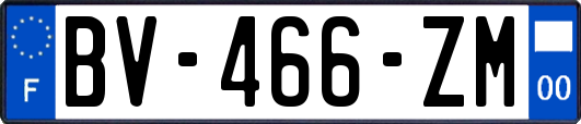 BV-466-ZM