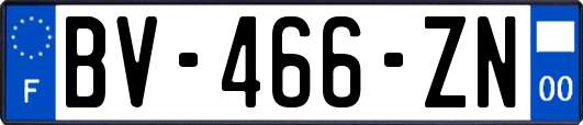 BV-466-ZN