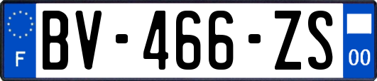 BV-466-ZS