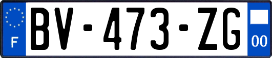 BV-473-ZG