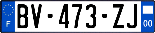 BV-473-ZJ