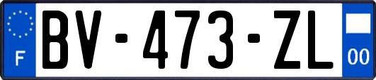 BV-473-ZL