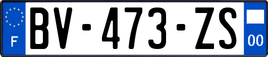 BV-473-ZS