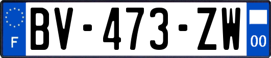 BV-473-ZW