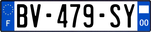 BV-479-SY