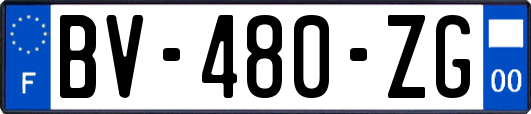 BV-480-ZG