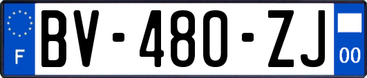 BV-480-ZJ