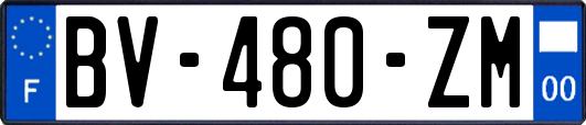 BV-480-ZM