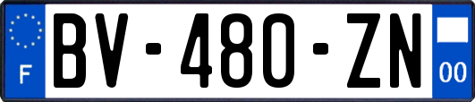 BV-480-ZN