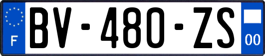 BV-480-ZS