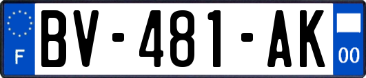 BV-481-AK