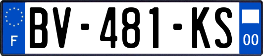 BV-481-KS