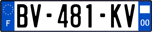 BV-481-KV