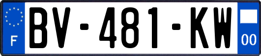 BV-481-KW