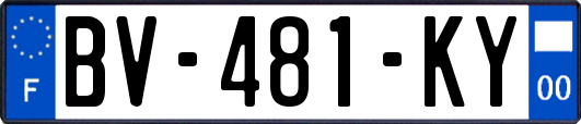 BV-481-KY