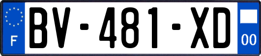 BV-481-XD