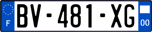 BV-481-XG