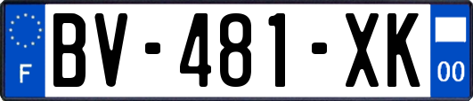 BV-481-XK