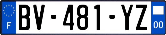 BV-481-YZ