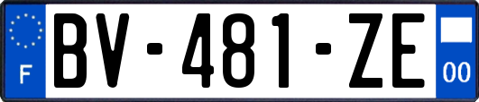 BV-481-ZE