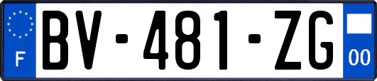 BV-481-ZG