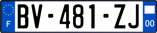 BV-481-ZJ