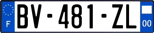 BV-481-ZL