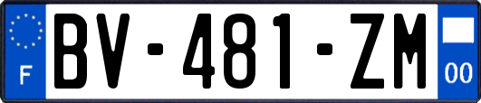 BV-481-ZM