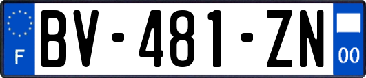 BV-481-ZN