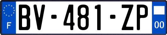 BV-481-ZP