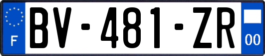 BV-481-ZR