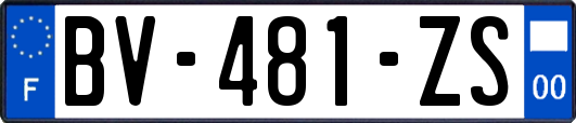 BV-481-ZS