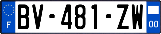 BV-481-ZW