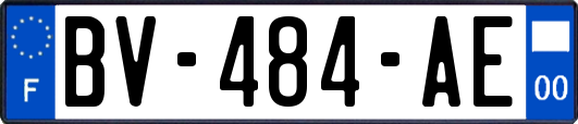 BV-484-AE