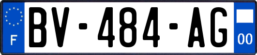 BV-484-AG