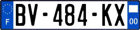 BV-484-KX