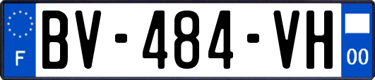 BV-484-VH