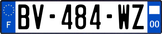 BV-484-WZ