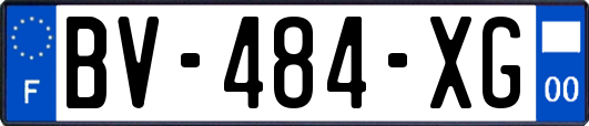 BV-484-XG