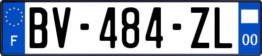 BV-484-ZL