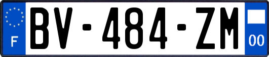 BV-484-ZM