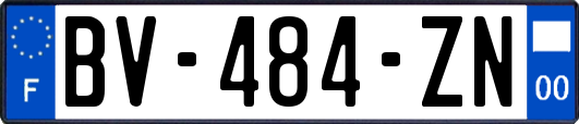 BV-484-ZN