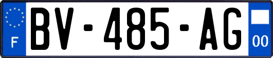 BV-485-AG