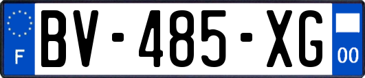 BV-485-XG