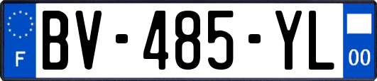 BV-485-YL