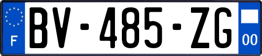 BV-485-ZG